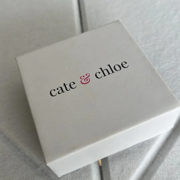 Cate & Chloe 18k White Gold Plated Halo Pendant Necklace & Crystal Stud Earrings - Picture 3 of 10